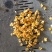 玉米压片黑龙江省大庆市肇州县欢迎全国各地的老板前来选购