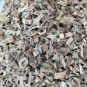 桑白皮产地直供全国发货诚信经营
