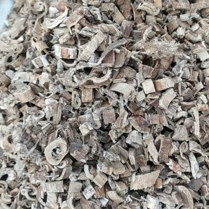 桑白皮产地直供全国发货诚信经营