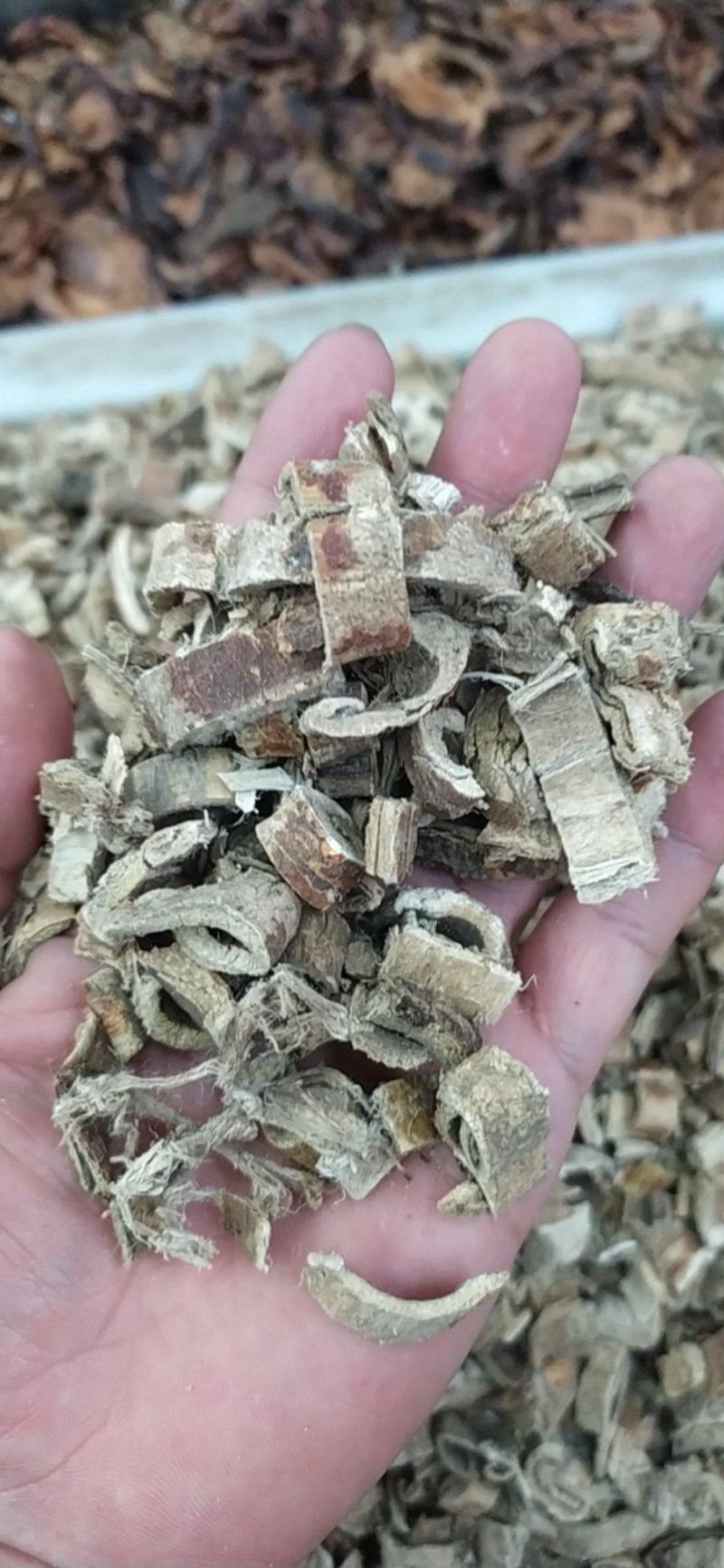 桑白皮产地直供全国发货诚信经营