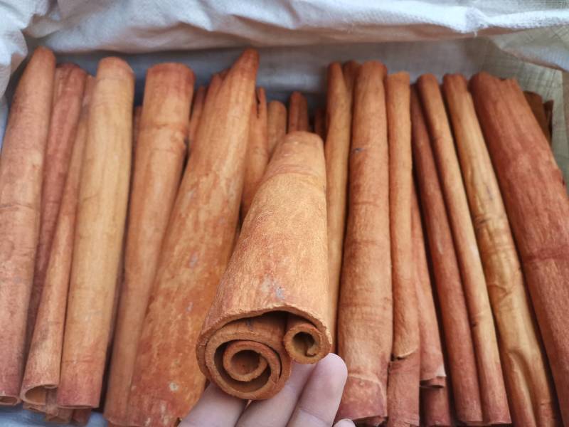 肉桂黄通去皮桂皮肉桂新货上市产地直发桂皮中通大通桂段