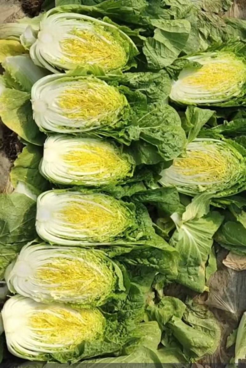 黄心白菜，千亩基地，大量供应，支持各种包装