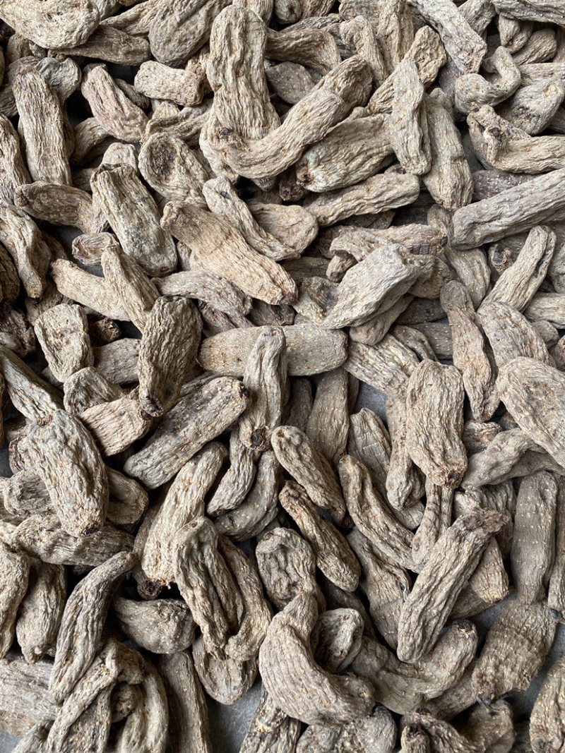 云南昭通天麻大货批发天麻一件代发微商电商团购联系产地直发