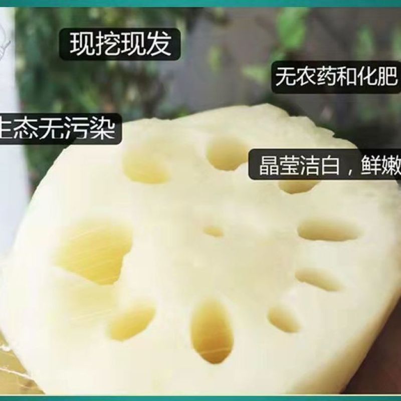 【畅销】江西宜春莲藕真空包装出售价格公道可全国发货