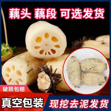 【畅销】江西宜春莲藕真空包装出售价格公道可全国发货