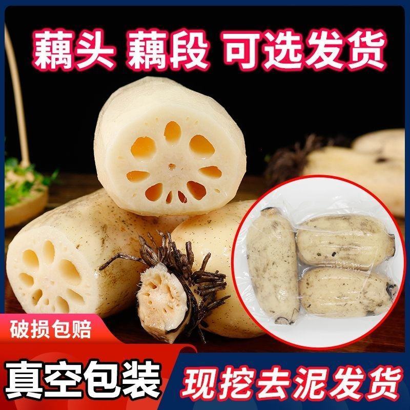 【畅销】江西宜春莲藕真空包装出售价格公道可全国发货