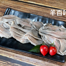 羊百叶【火锅店必备】新鲜速冻装箱，涮锅拌炒干锅均可