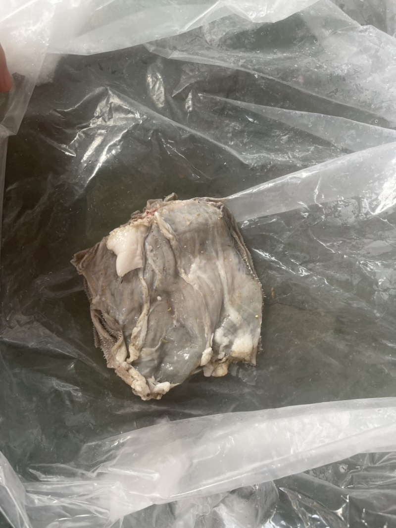 羊百叶【火锅店必备】新鲜速冻装箱，涮锅拌炒干锅均可