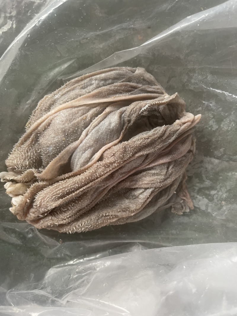 羊百叶【火锅店必备】新鲜速冻装箱，涮锅拌炒干锅均可
