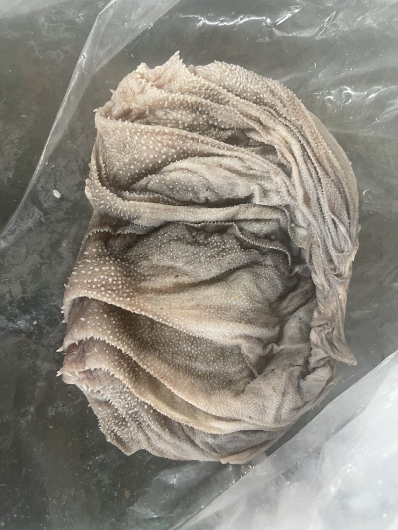 羊百叶【火锅店必备】新鲜速冻装箱，涮锅拌炒干锅均可