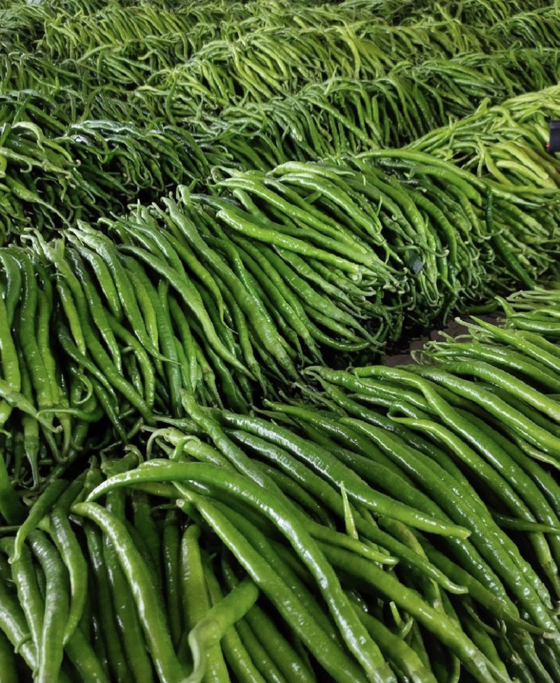 「荐」云南青辣椒，线椒，产地供应，一手货源，量大从优