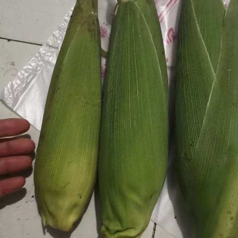 水果玉米