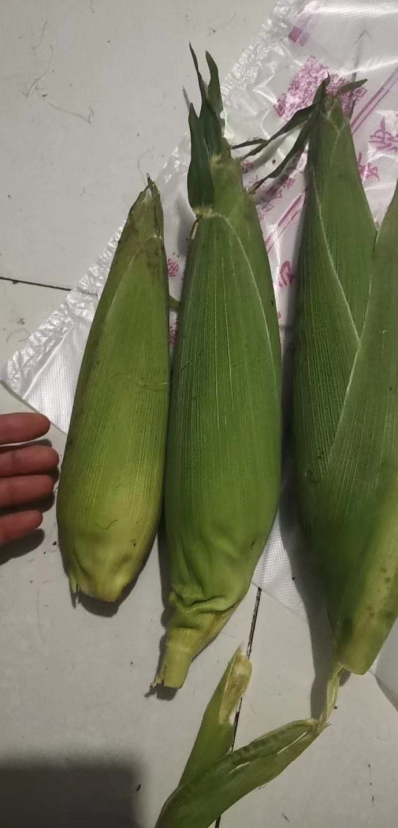 水果玉米