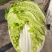 【推荐】精品黄心菜大量上市中质量好价格低商超品质