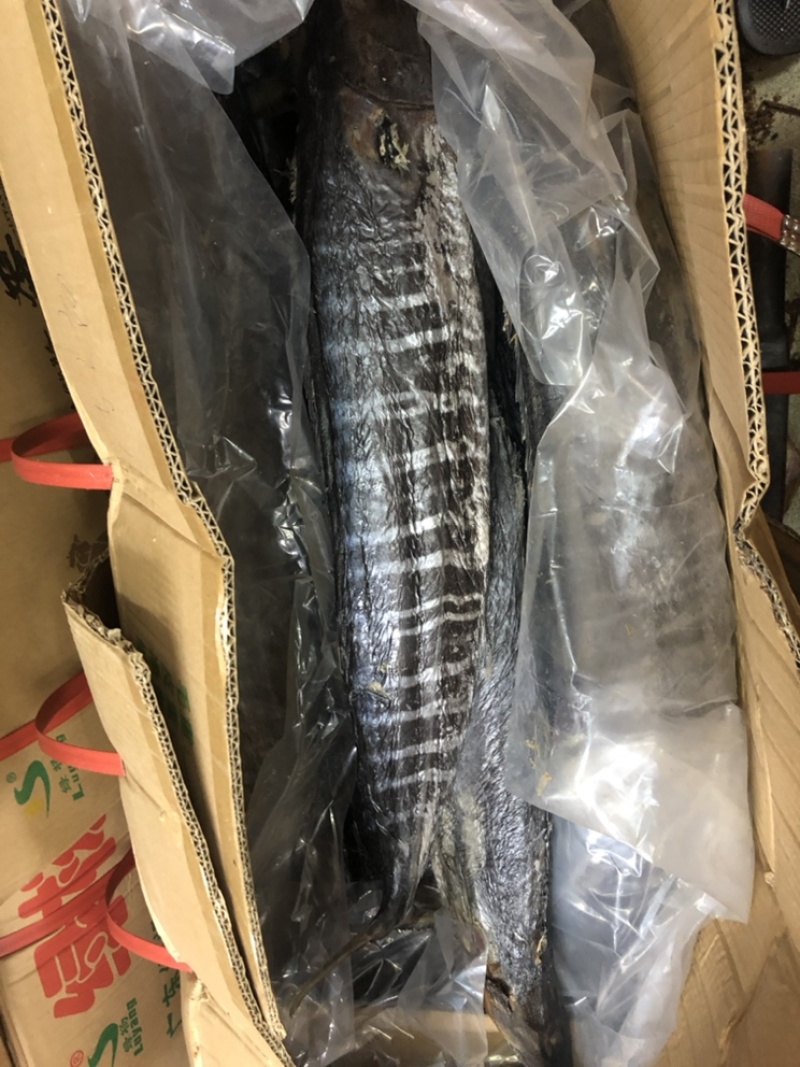 马鲛咸鱼