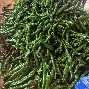 皱皮椒