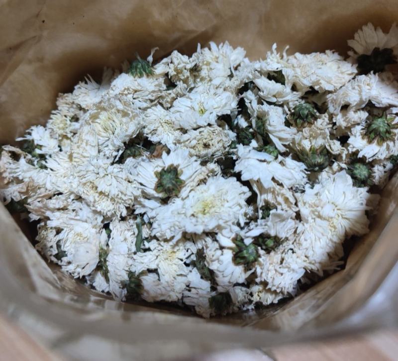 怀菊花