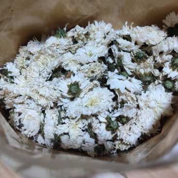 怀菊花