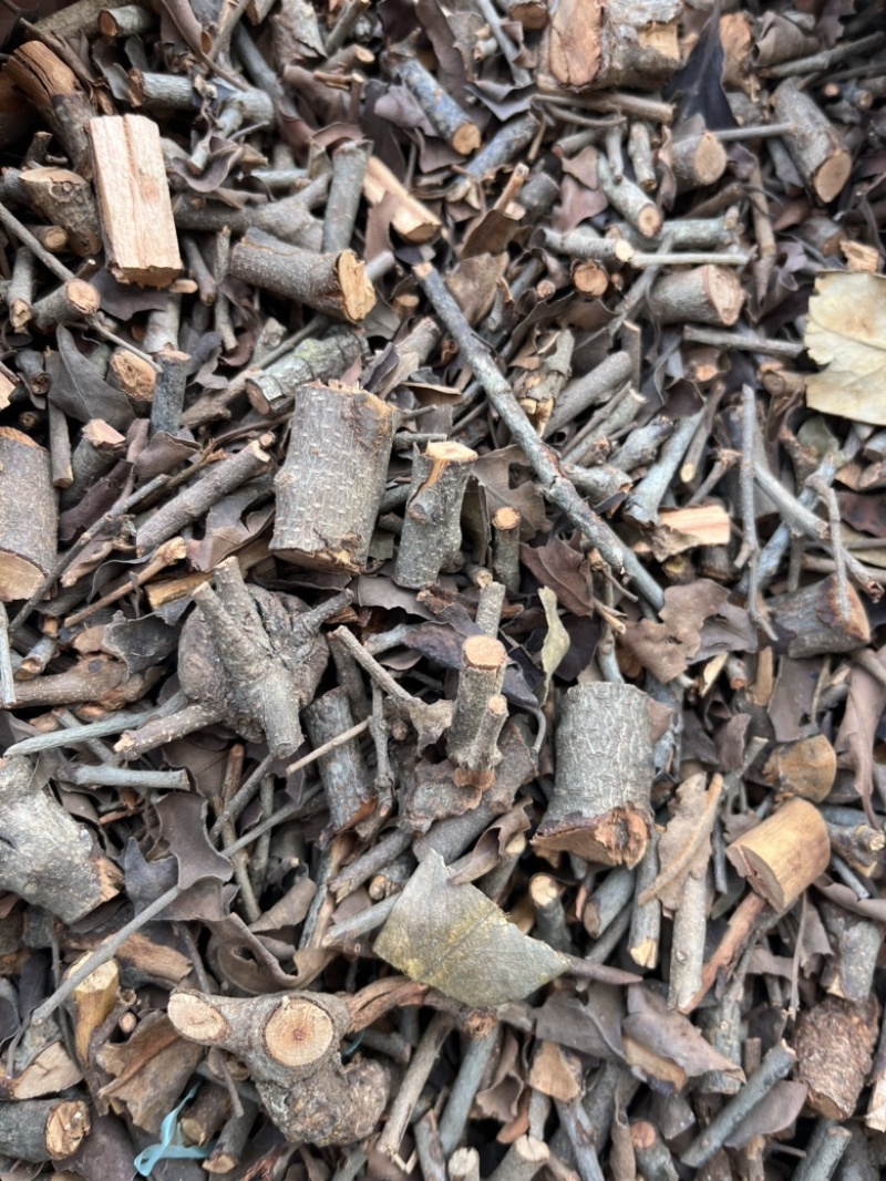 【桑寄生】广寄生产地广西量大从优文斌药材批发零售