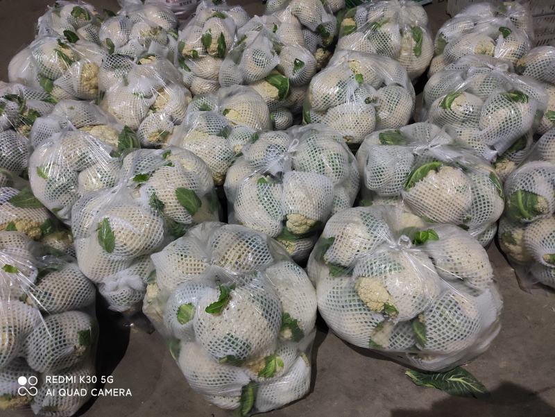 湖北有机花菜，青梗白面小米，实花菜，可全国代发，视频看货