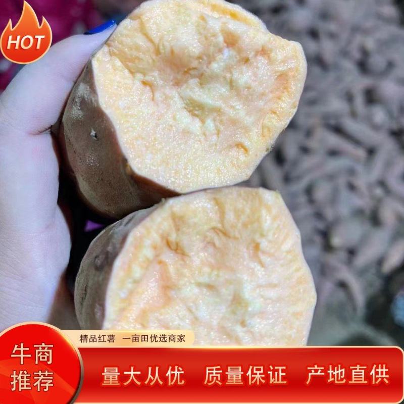 【牛商推荐】烟薯品质佳，产地直供，货源充足，全国发货