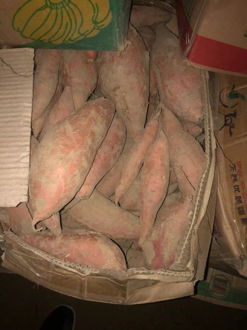 【牛商推荐】烟薯品质佳，产地直供，货源充足，全国发货