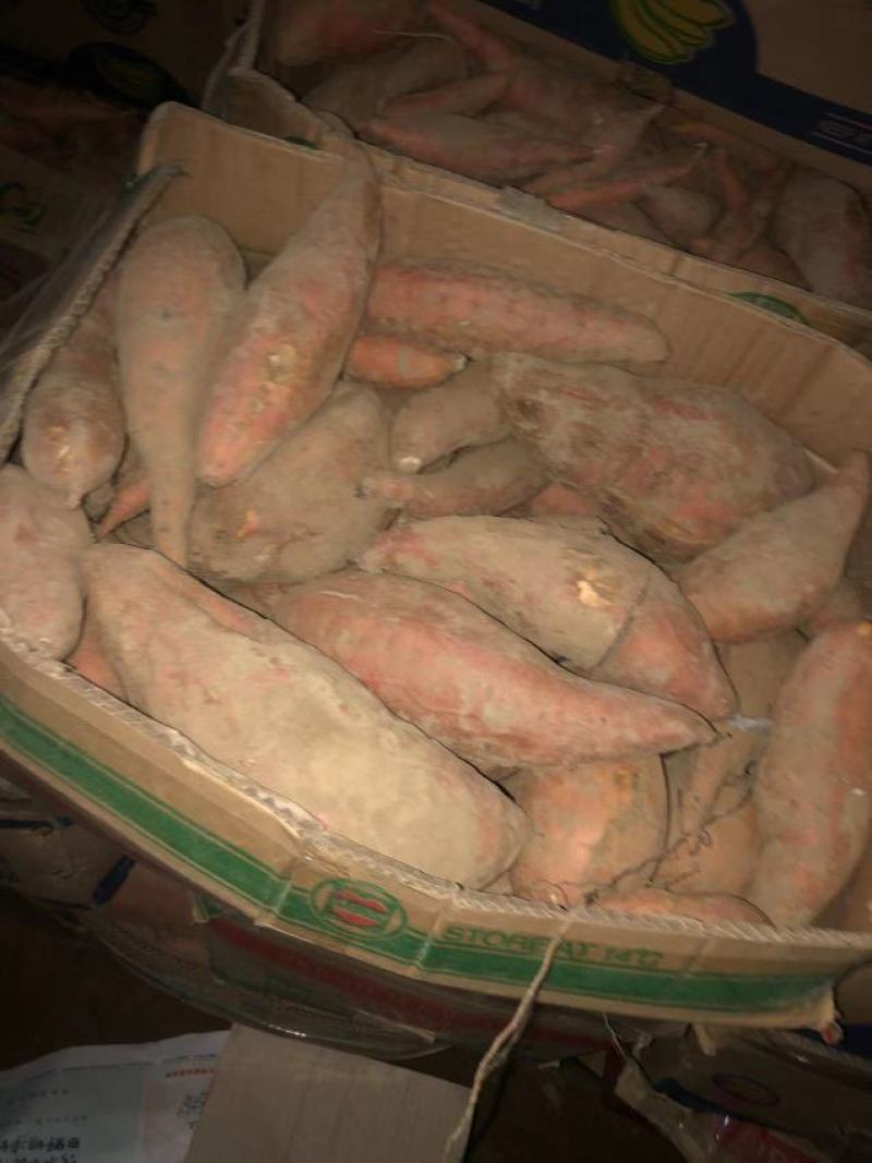 【牛商推荐】烟薯品质佳，产地直供，货源充足，全国发货