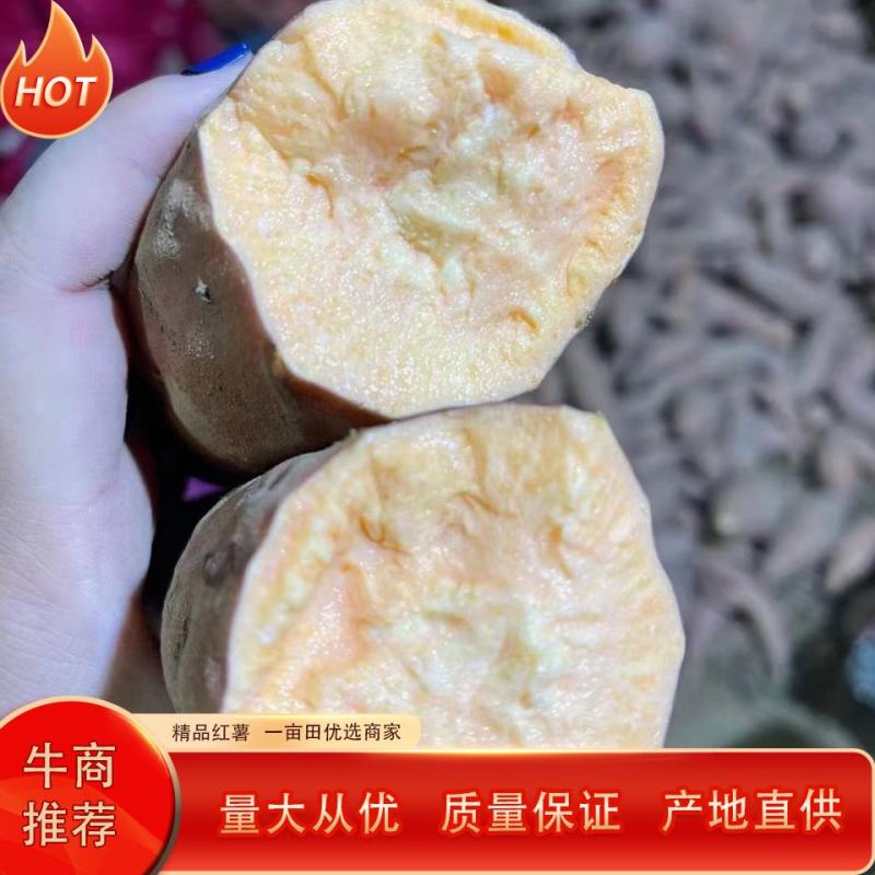 【牛商推荐】烟薯品质佳，产地直供，货源充足，全国发货