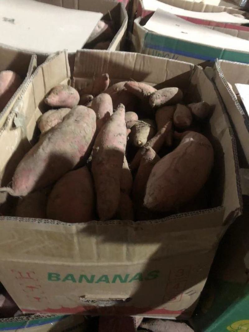 【牛商推荐】烟薯品质佳，产地直供，货源充足，全国发货