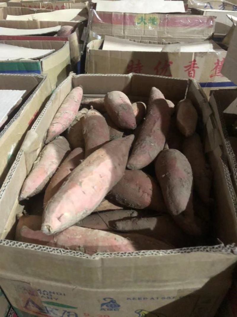 【牛商推荐】烟薯品质佳，产地直供，货源充足，全国发货
