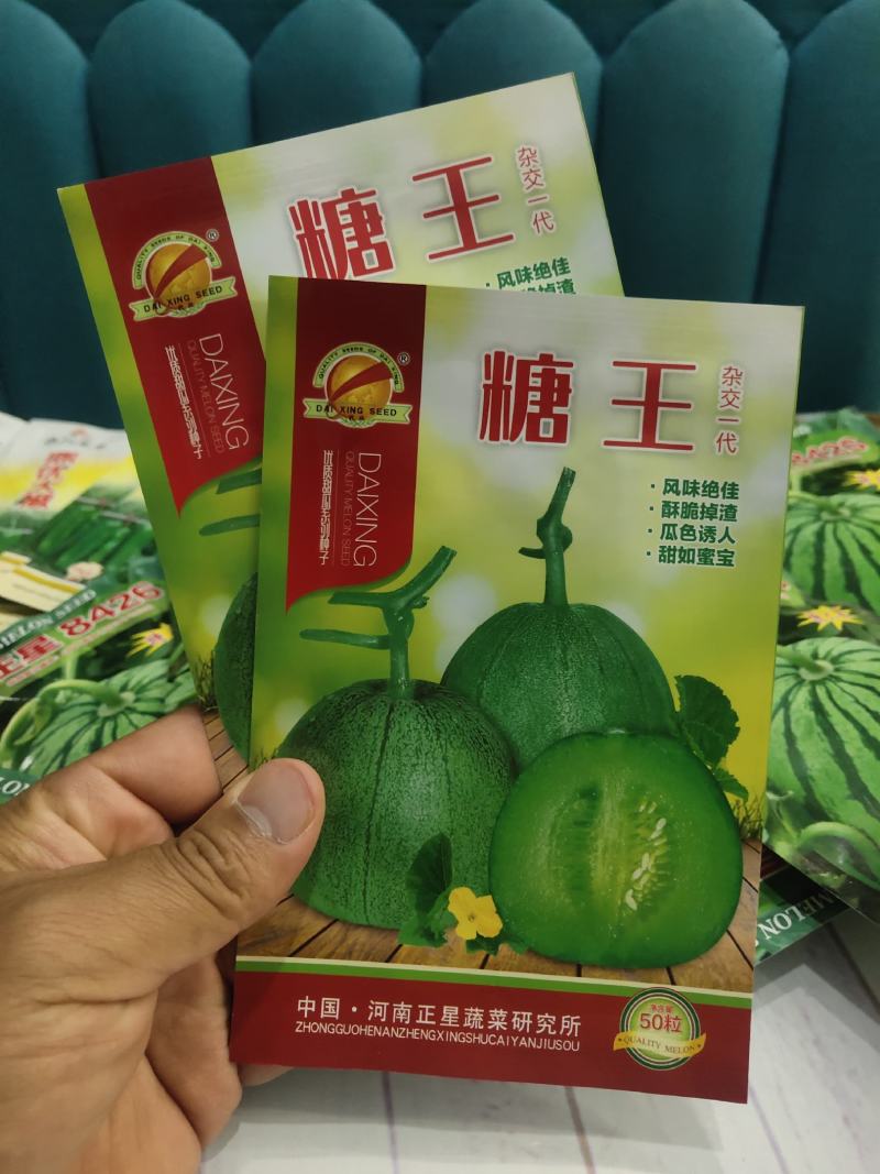 糖王甜瓜种子抗病早熟含糖量20度酥脆掉渣绿皮绿肉600克