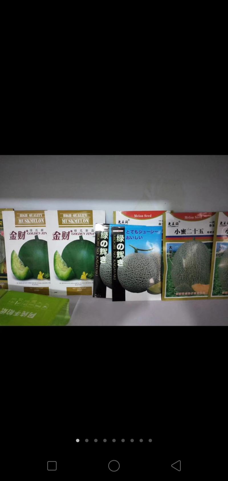 糖王甜瓜种子抗病早熟含糖量20度酥脆掉渣绿皮绿肉600克