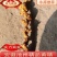 食品级九华山黄精干货无硫有肉足干，可零售可批发