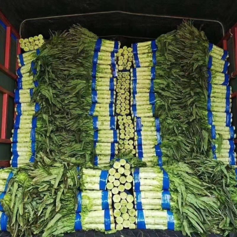大量供应笋，千亩基地，特价供应，支持各种包装，诚信合作
