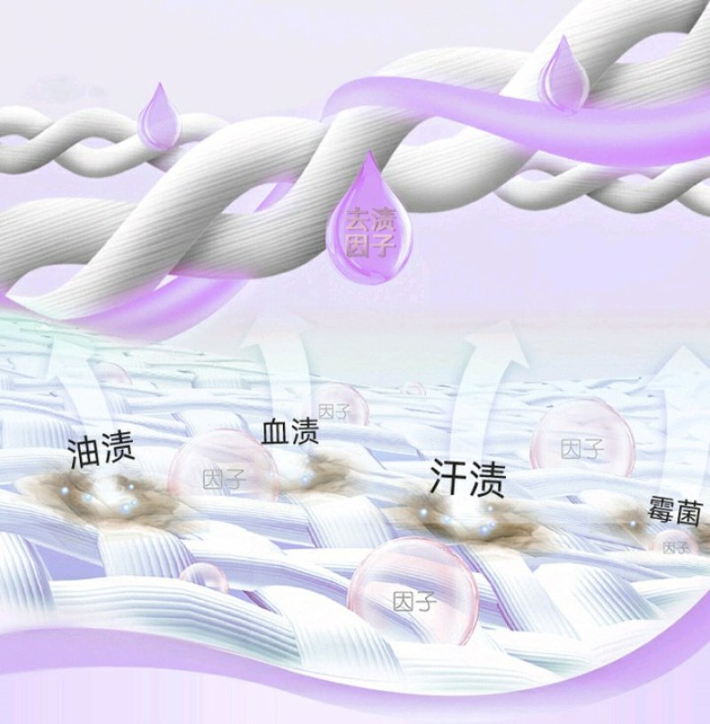 厂家批发衣靓彩好太太2Kg洗衣液网红礼品薰衣草瓶洗衣液