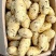 【市场,商超,电商发货】荷兰十五土豆大量供应中,一手货源