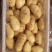 【市场,商超,电商发货】荷兰十五土豆大量供应中,一手货源