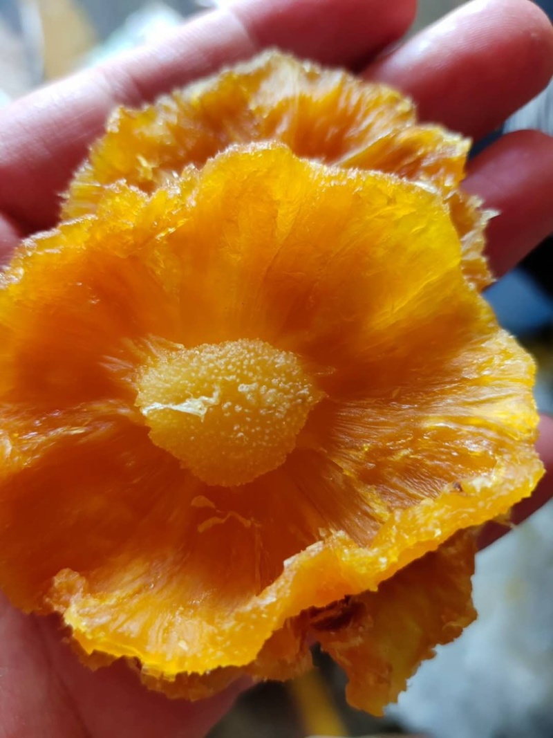 西双版纳菠萝干傣家特产原味无添加支持一件代发