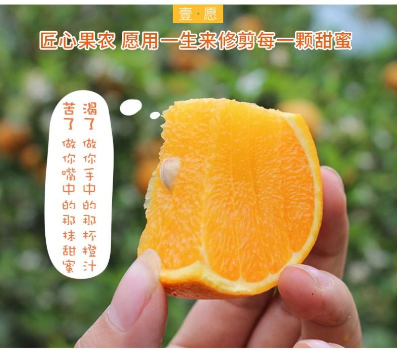 一件代发正宗江西赣南脐橙新鲜当季水果薄皮整箱甜橙子批发