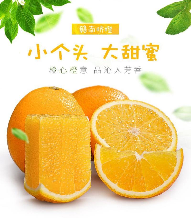 一件代发正宗江西赣南脐橙新鲜当季水果薄皮整箱甜橙子批发