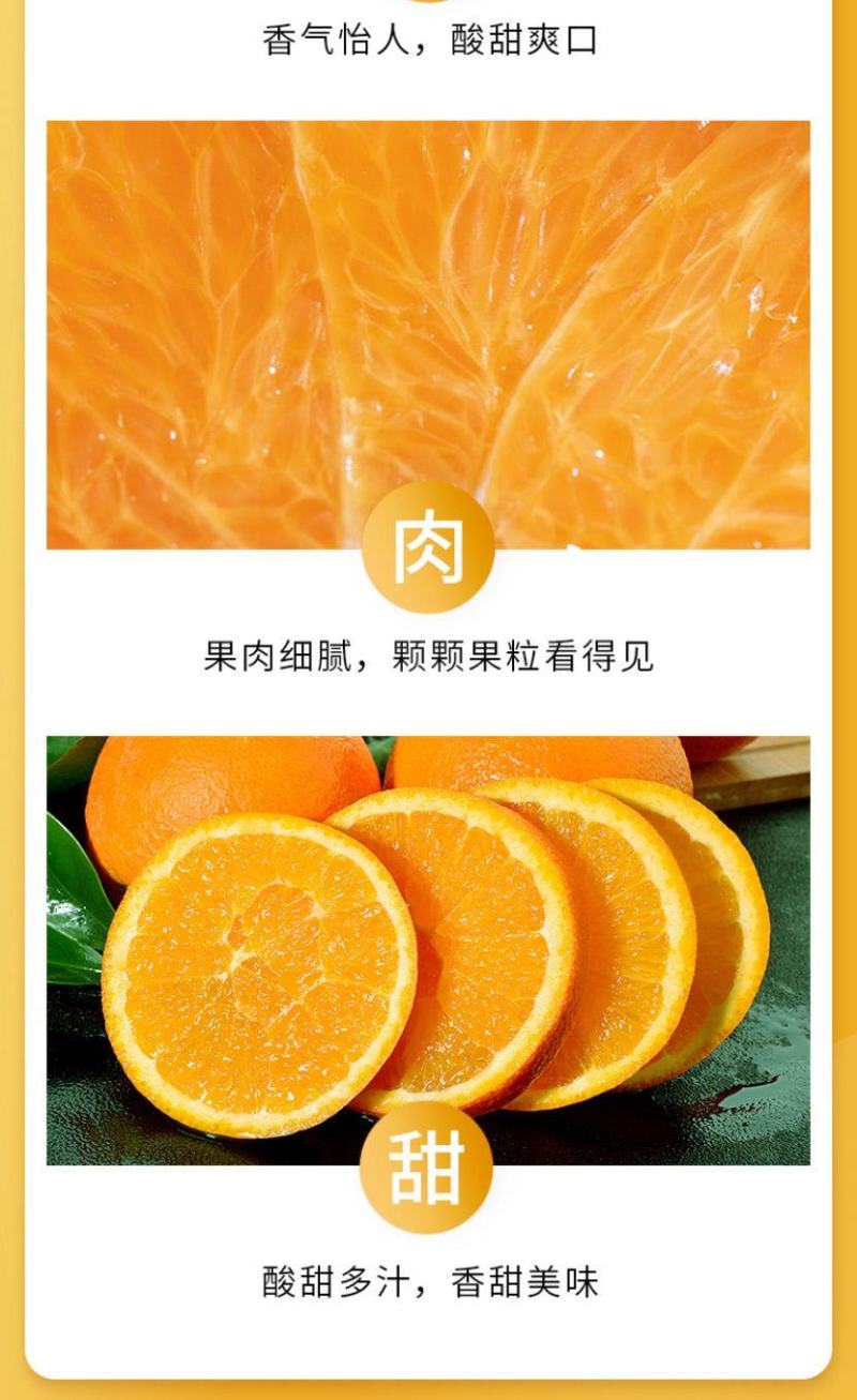 一件代发正宗江西赣南脐橙新鲜当季水果薄皮整箱甜橙子批发