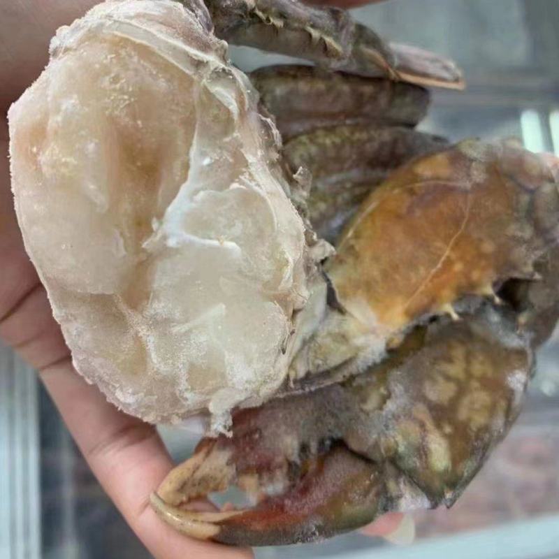 一手货源，带脚蟹排