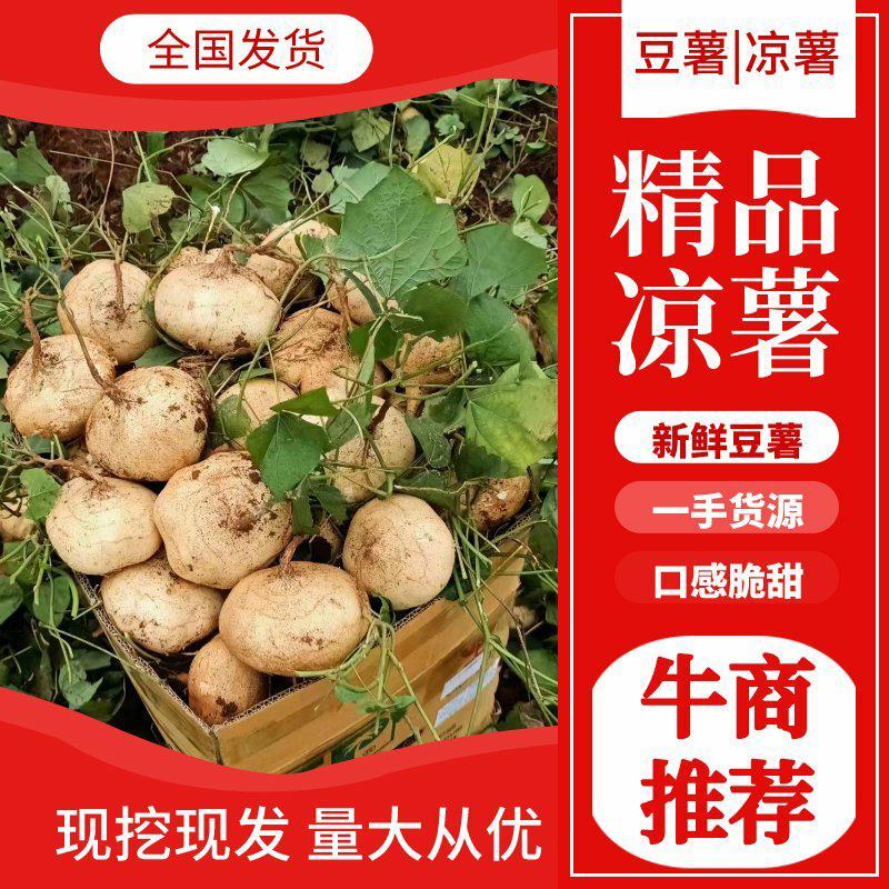 广东精品地瓜，凉署沙署口感脆甜大量上市一条龙服务