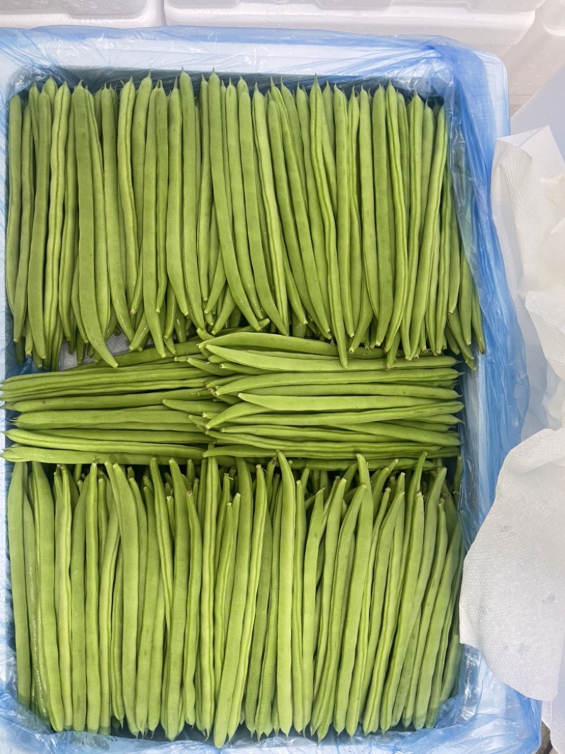 云南小金豆