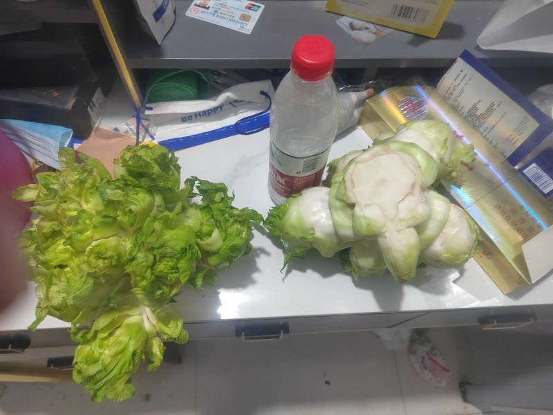 儿菜基地直供出货量大