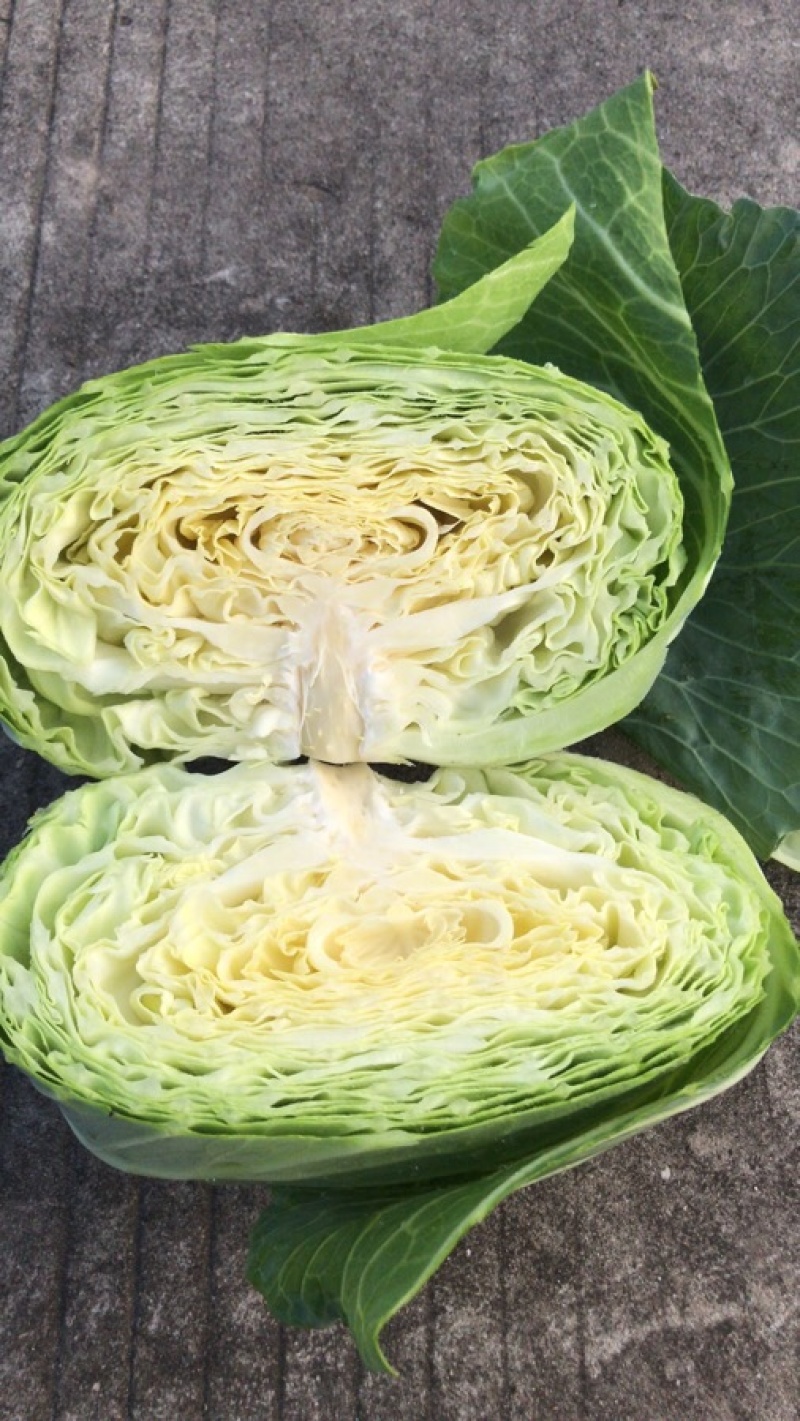莲花白大量供货，承接电商，超市，市场，加工厂