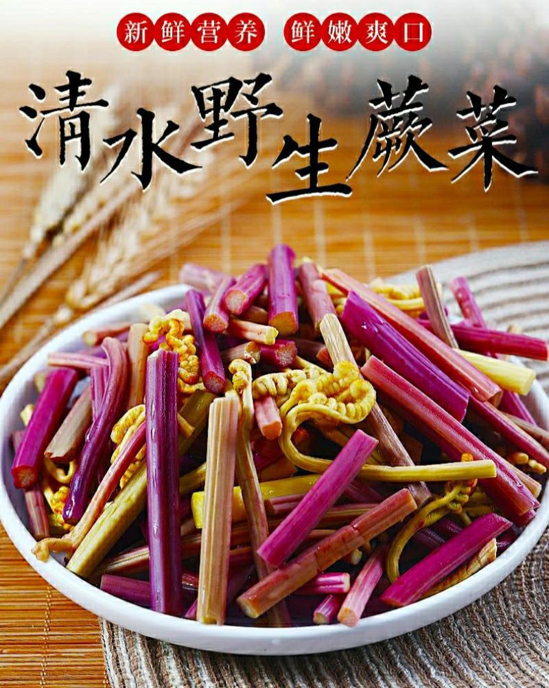 农家蕨菜龙爪菜新鲜采摘鲜嫩爽口凉拌火锅麻辣烫下饭菜