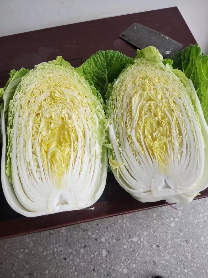 黄心白菜，千亩基地，大量供应，支持各种包装