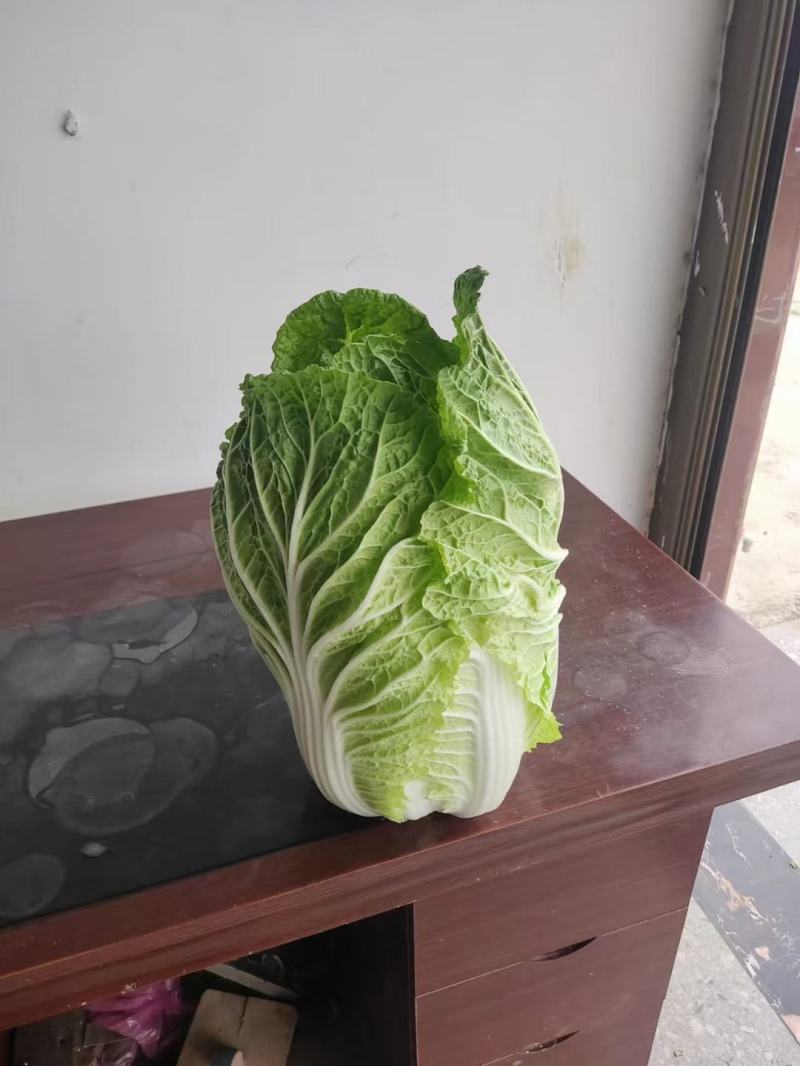 黄心白菜，千亩基地，大量供应，支持各种包装