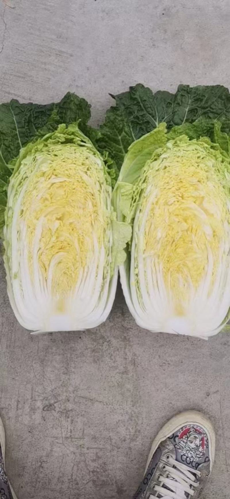 黄心白菜，千亩基地，大量供应，支持各种包装